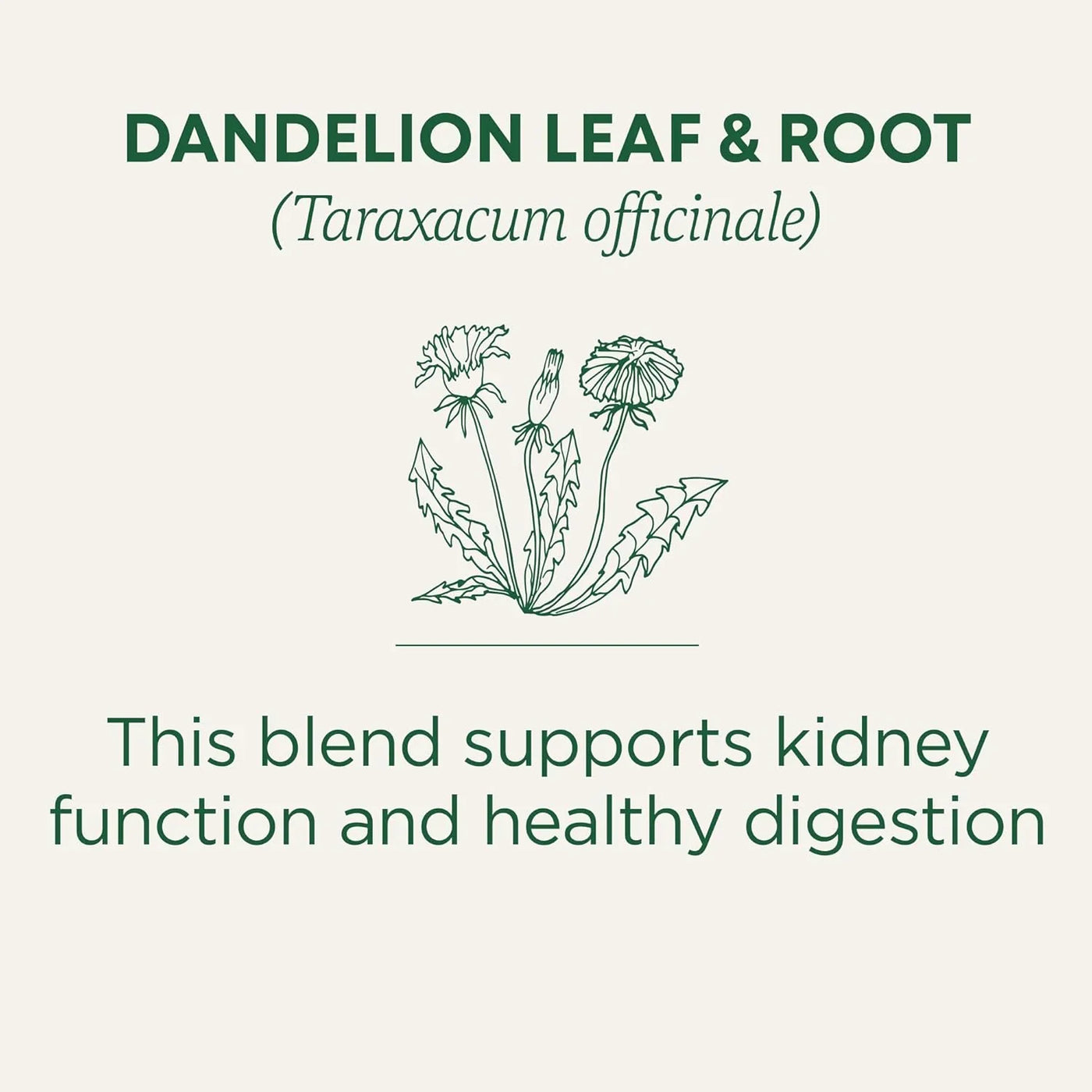 Organic, Dandelion Leaf & Root - Dandelion Root Tea, Supports Normal Detox + Digestion - Kosher, Non-Gmo, Caffeine-Free, Compostable - 16 Tea Bags
