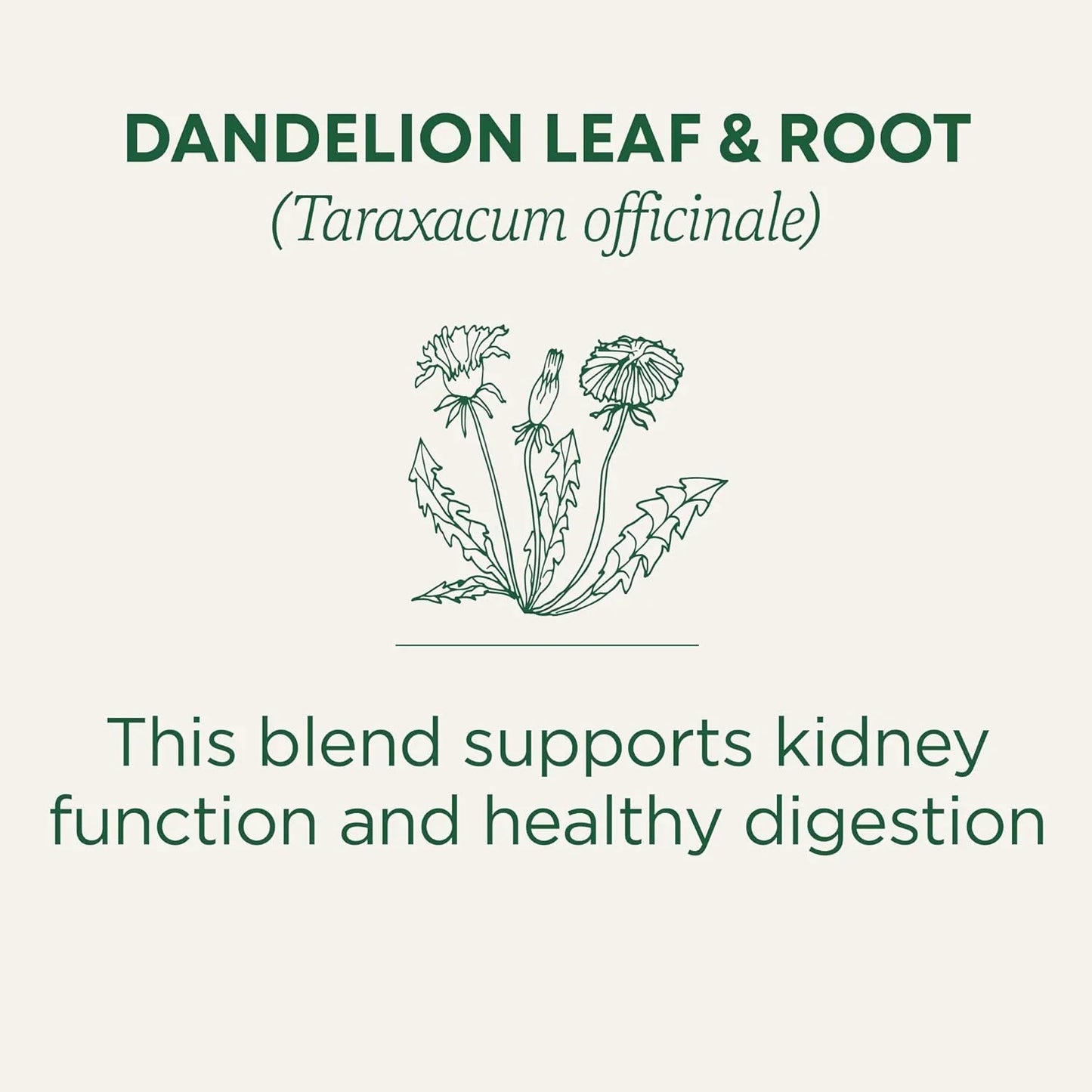 Organic, Dandelion Leaf & Root - Dandelion Root Tea, Supports Normal Detox + Digestion - Kosher, Non-Gmo, Caffeine-Free, Compostable - 16 Tea Bags