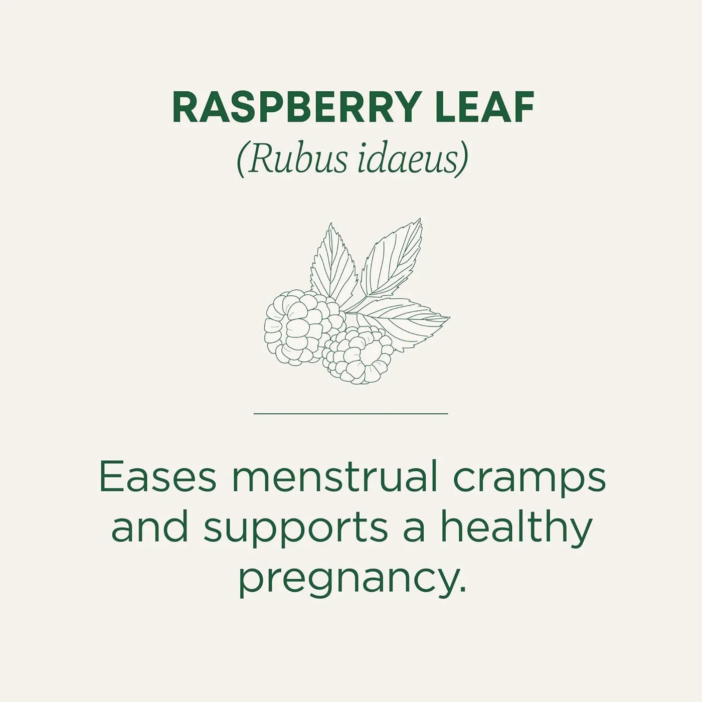 Organic Raspberry Leaf Herbal Tea, Eases Menstrual Cramps & Supports Healthy Pregnancy, (Pack of 1) - 16 Tea Bags