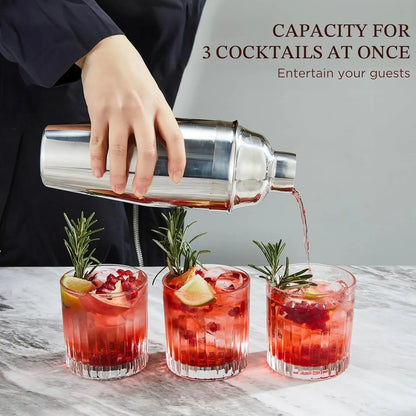 Cocktail Shaker,  24Oz Drink Shaker with Bartender Strainer, Measuring Jigger, Bar Mixing Spoon, Cocktail Recipe Guide, Professional Drink Mixer Set for Beginners, Silver