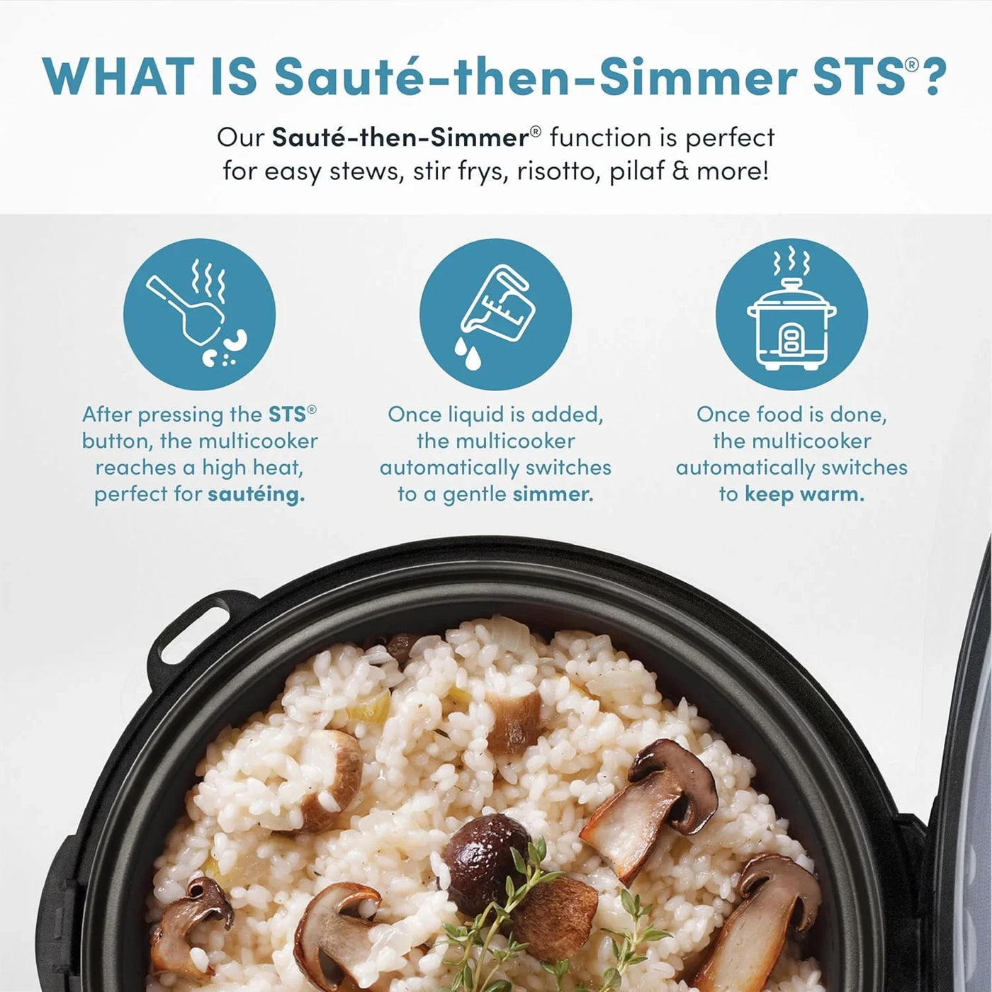 Housewares Professional plus ARC-5000SB 20 Cup (Cooked) Digital Rice Cooker, Food Steamer, Slow Cooker, Stainless Exterior/Nonstick Pot, Silver, Black, 10-Cup Uncooked/20-Cup Cooked/4Qt
