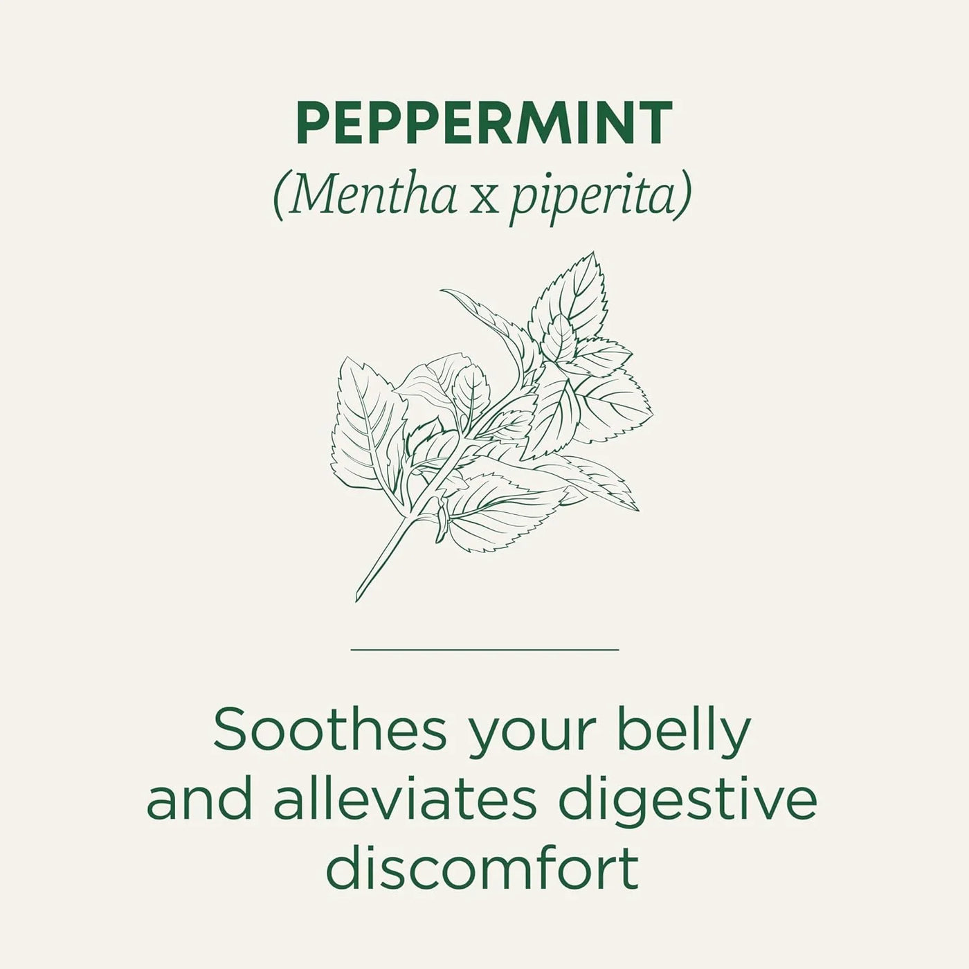 Organic, Peppermint Tea - Helps Soothe Belly from Occasional Gas and Bloating - Kosher, Non-Gmo, Caffeine-Free, Compostable - 16 Tea Bags