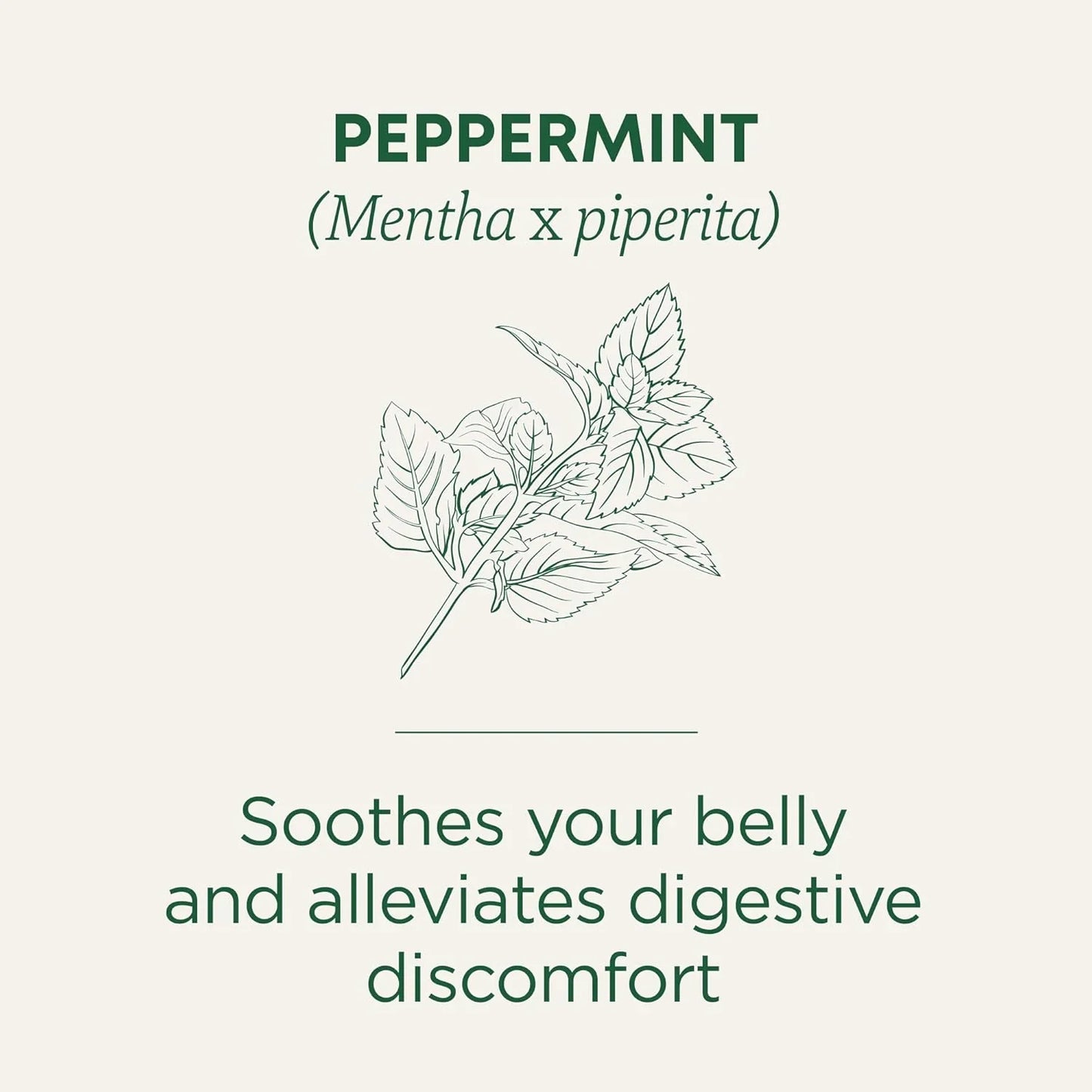Organic, Peppermint Tea - Helps Soothe Belly from Occasional Gas and Bloating - Kosher, Non-Gmo, Caffeine-Free, Compostable - 16 Tea Bags