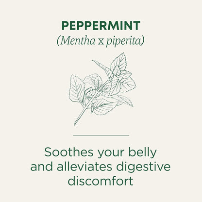 Organic, Peppermint Tea - Helps Soothe Belly from Occasional Gas and Bloating - Kosher, Non-Gmo, Caffeine-Free, Compostable - 16 Tea Bags