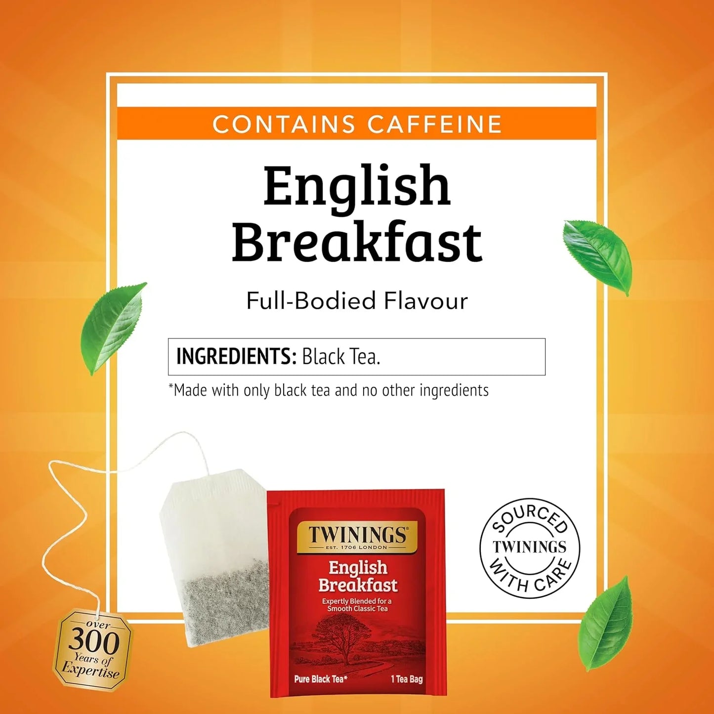 English Breakfast Black Tea Individually Wrapped Bags, 100 Count (Pack of 1), Smooth, Flavourful, and Robust, Caffeinated, Enjoy Hot or Iced, 100 Teabags