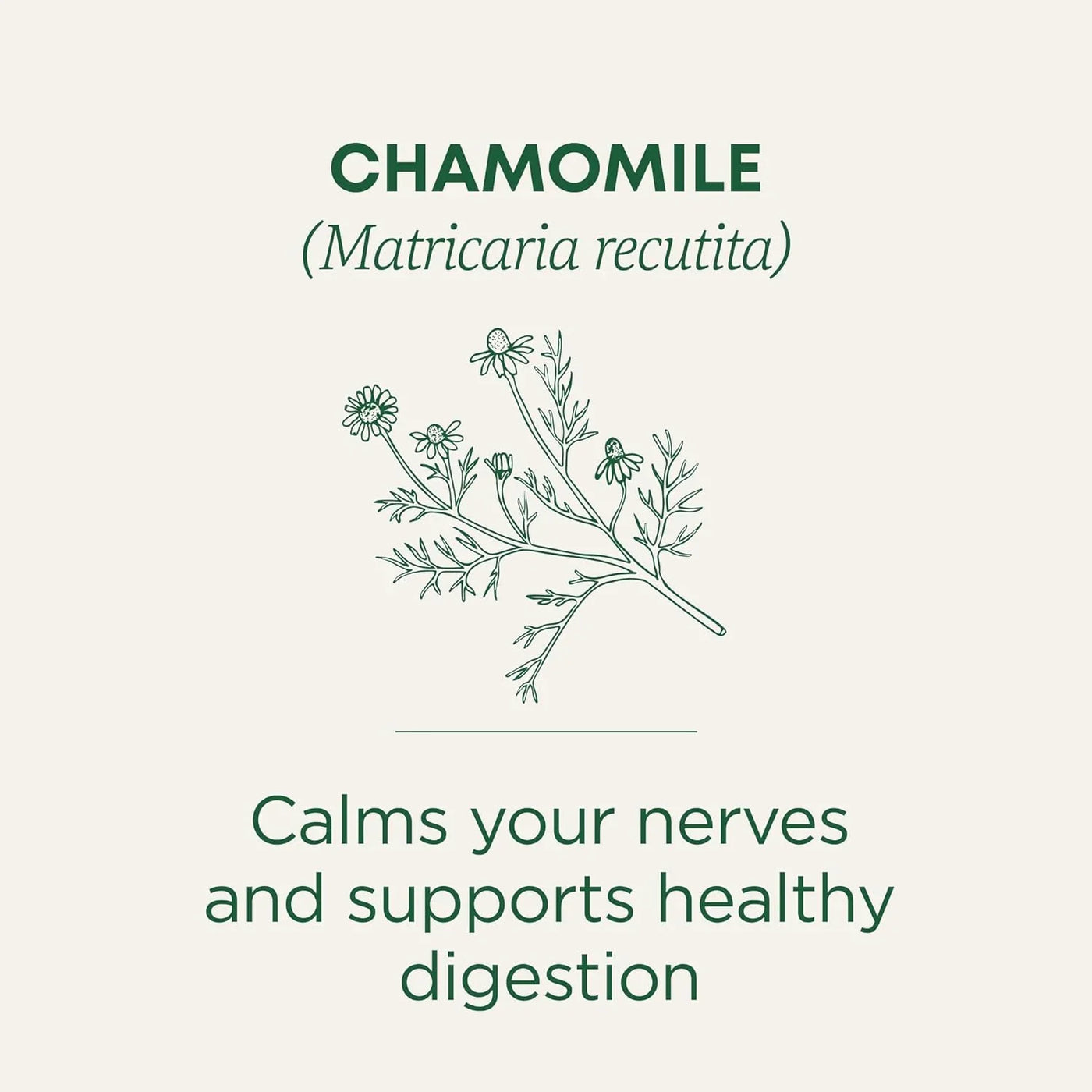 Organic, Chamomile Tea - Supports Stress Relief and Relaxation - Kosher, Non-Gmo, Caffeine-Free, Compostable - 16 Tea Bags