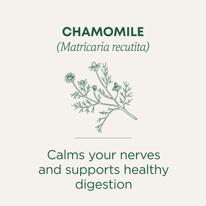 Organic, Chamomile Tea - Supports Stress Relief and Relaxation - Kosher, Non-Gmo, Caffeine-Free, Compostable - 16 Tea Bags
