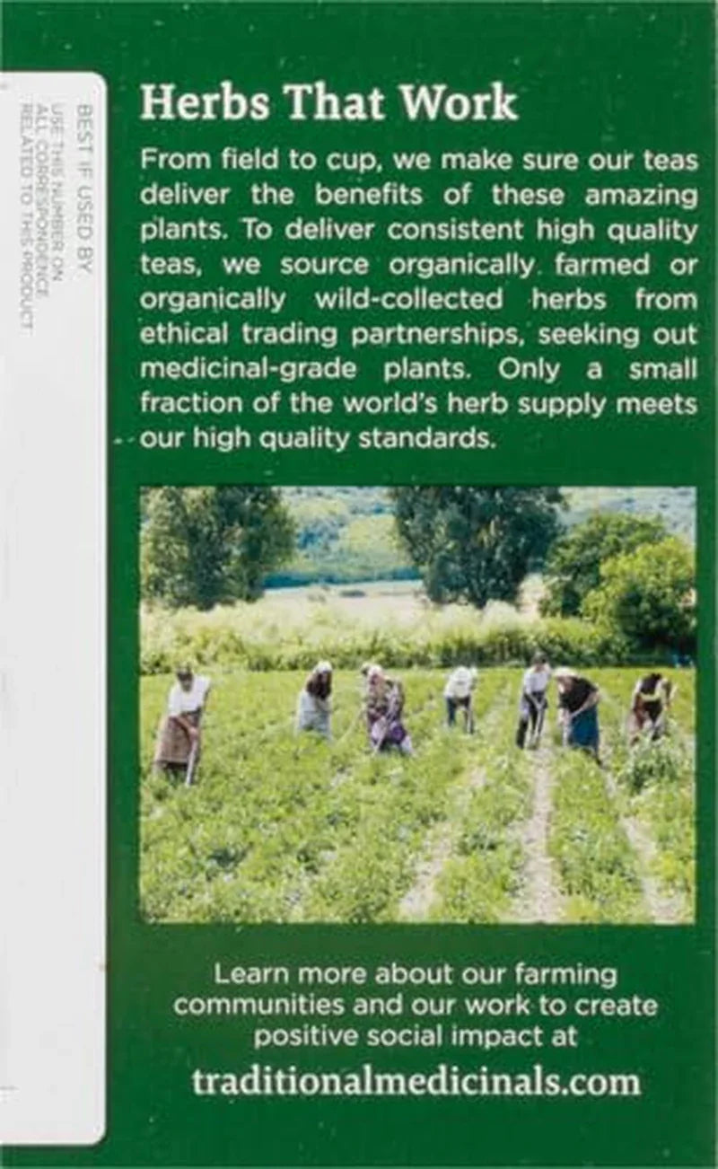 Organic, Lemon Balm - Supports Stress Relief & Digestive Health - Kosher, Non-Gmo, Caffeine-Free, Compostable - 16 Tea Bags