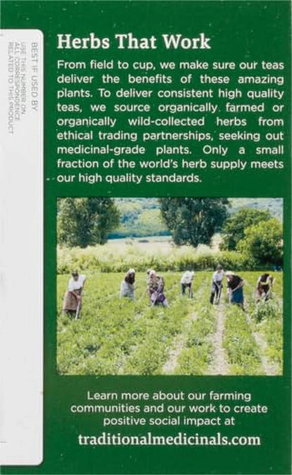 Organic, Lemon Balm - Supports Stress Relief & Digestive Health - Kosher, Non-Gmo, Caffeine-Free, Compostable - 16 Tea Bags