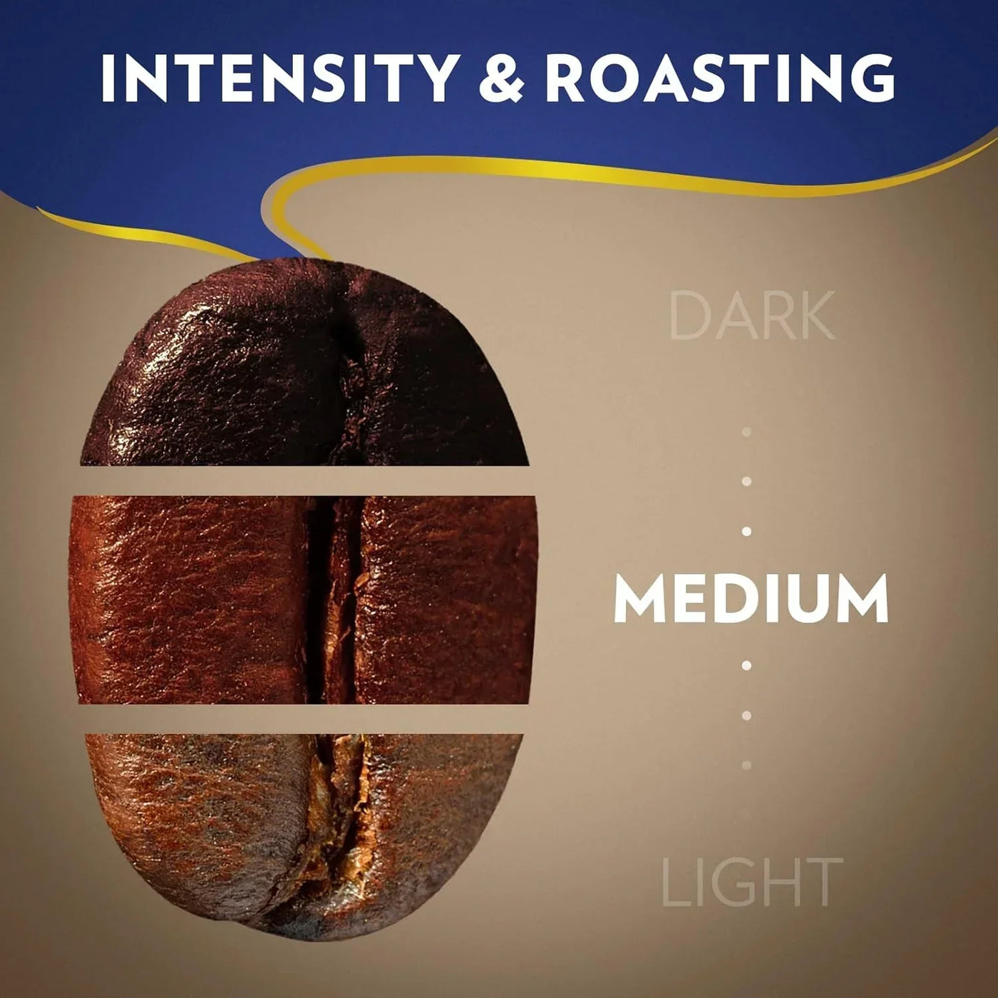 Coffee bean roast levels: dark, medium, light intensity roasting guide