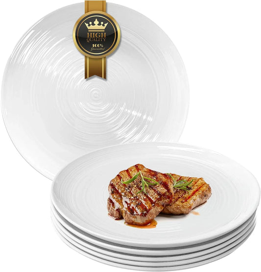 Ceramic 10 1/4 Inch White Dinner Plates Set of 6 Microwave Oven Dishwasher Safe Dish Porcelain Serving Plates for Kitchen Restaurant Stoneware Dishes for Party Beef Steak, Pasta Plate 10.25 In