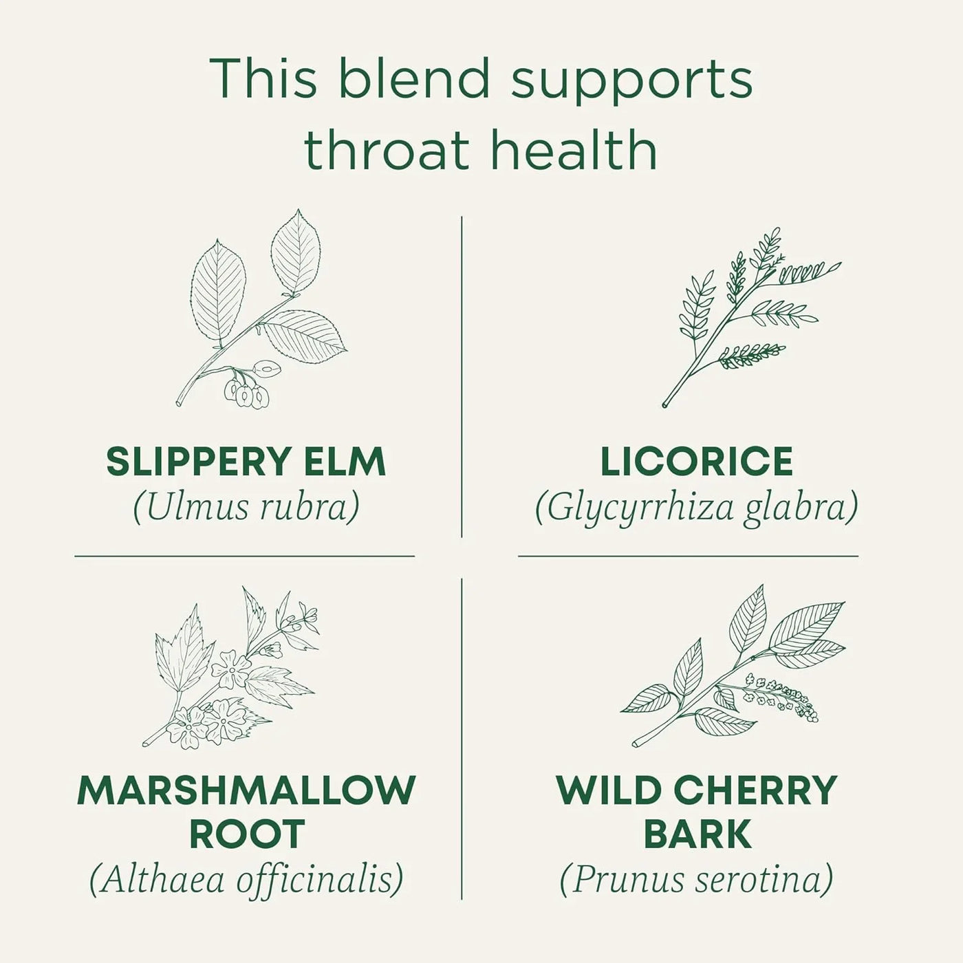 Organic, Throat Coat Tea, Original with Slippery Elm - Supports Throat Health - Kosher, Non-Gmo, Caffeine-Free, Compostable - 16 Tea Bags