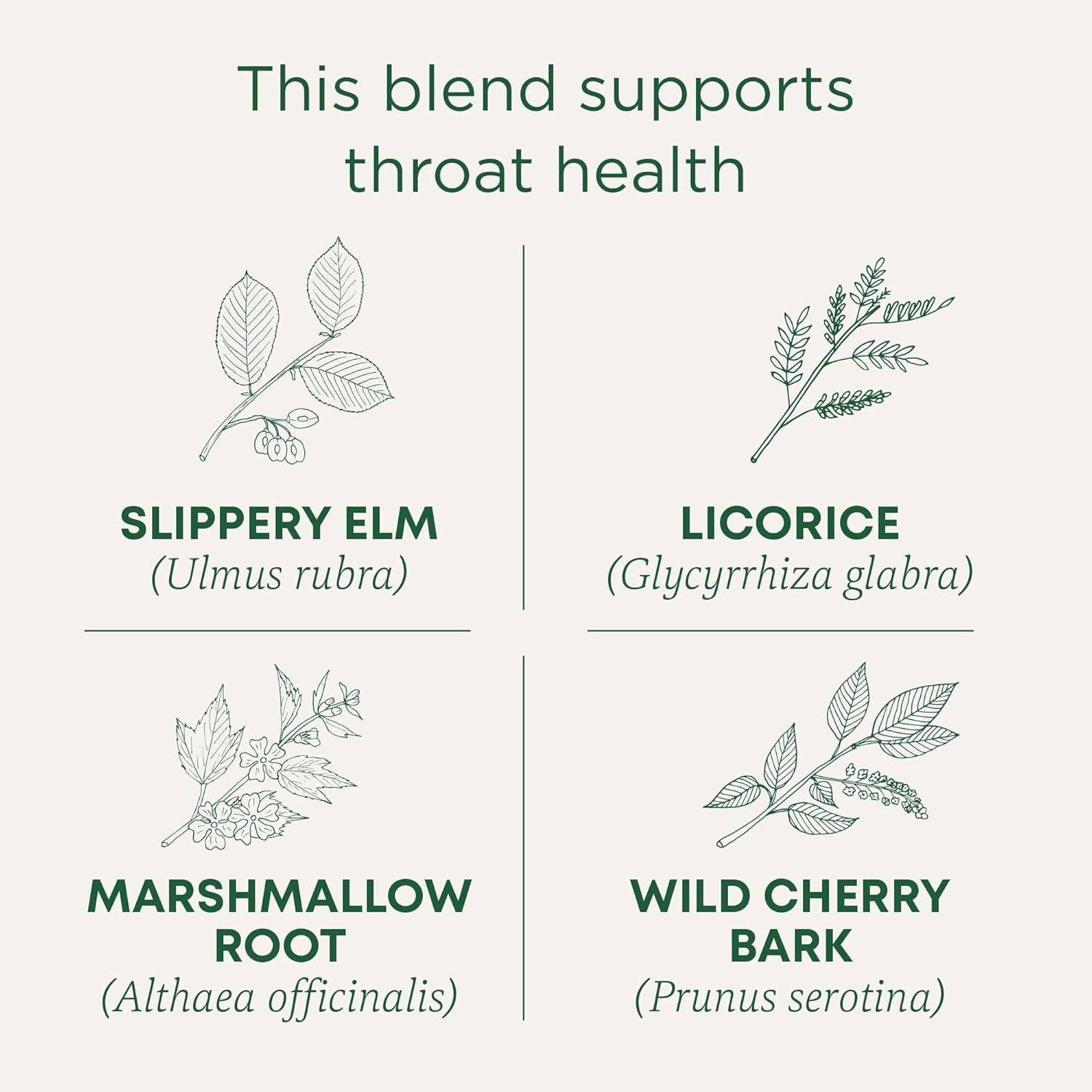 Organic, Throat Coat Tea, Original with Slippery Elm - Supports Throat Health - Kosher, Non-Gmo, Caffeine-Free, Compostable - 16 Tea Bags
