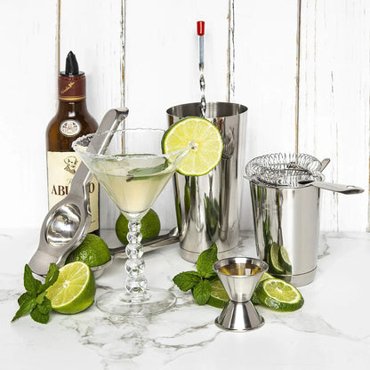 Bar Set Cocktail Shaker Set, Stainless Steel Mixology Bartender Kit, 16 Piece Cocktail Kit, Silver Cocktail Set, Bar Tools: 30Oz Martini Shaker, Muddler, Bar Kit Cocktail Book, Jigger and Pourers