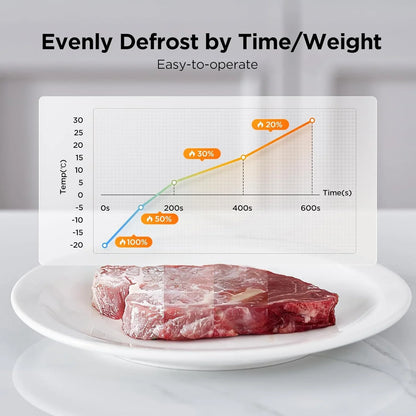 Frozen steak defrosting on white plate with temperature and time defrost chart overlay