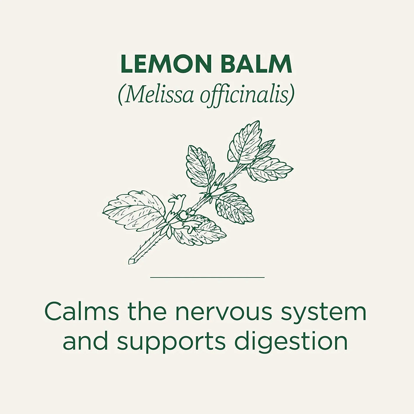 Organic, Lemon Balm - Supports Stress Relief & Digestive Health - Kosher, Non-Gmo, Caffeine-Free, Compostable - 16 Tea Bags