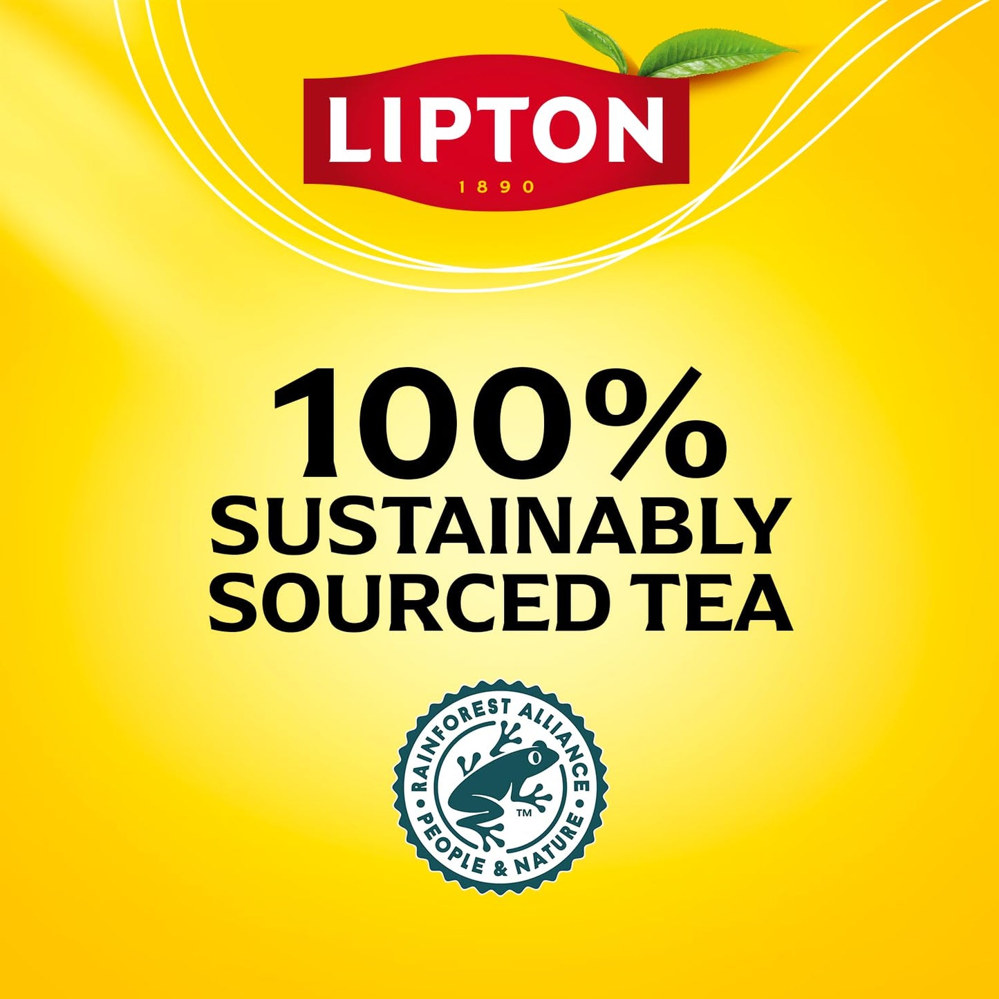 Black Tea Bags, Hot or Iced High Caffeine Tea, 100 Total Bags
