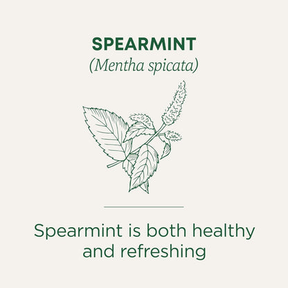 Organic, Spearmint Tea - Supports Everyday Wellness, Healthy & Refreshing - Kosher, Non-Gmo, Caffeine-Free, Compostable - 16 Tea Bags
