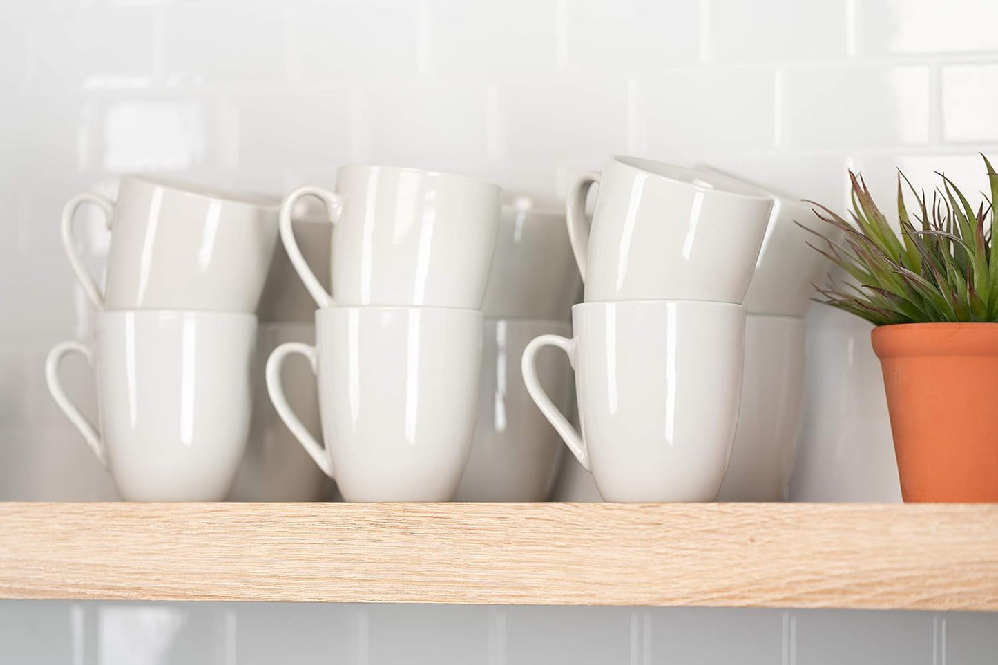 Catering Sets of 12