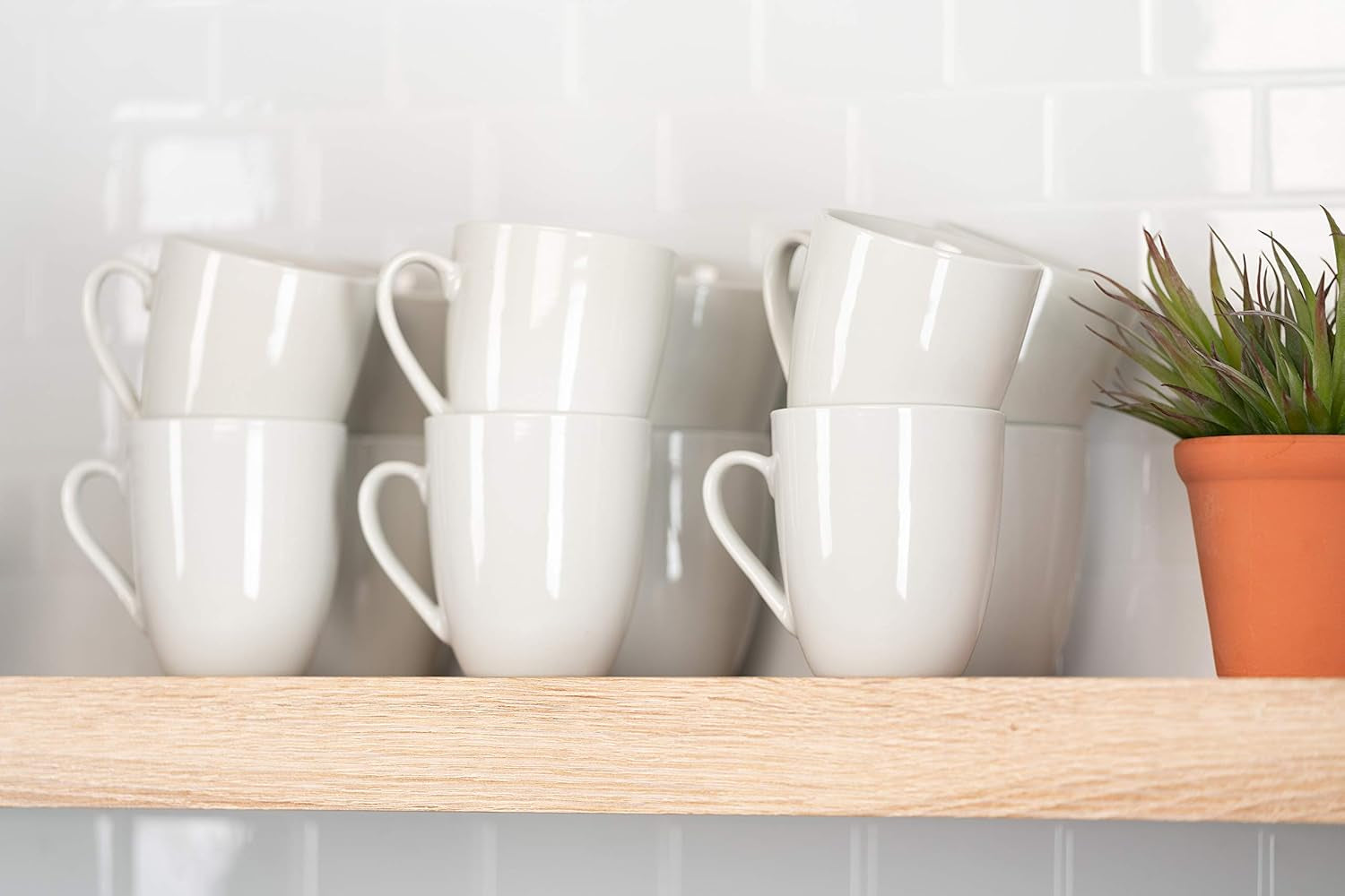 Catering Sets of 12