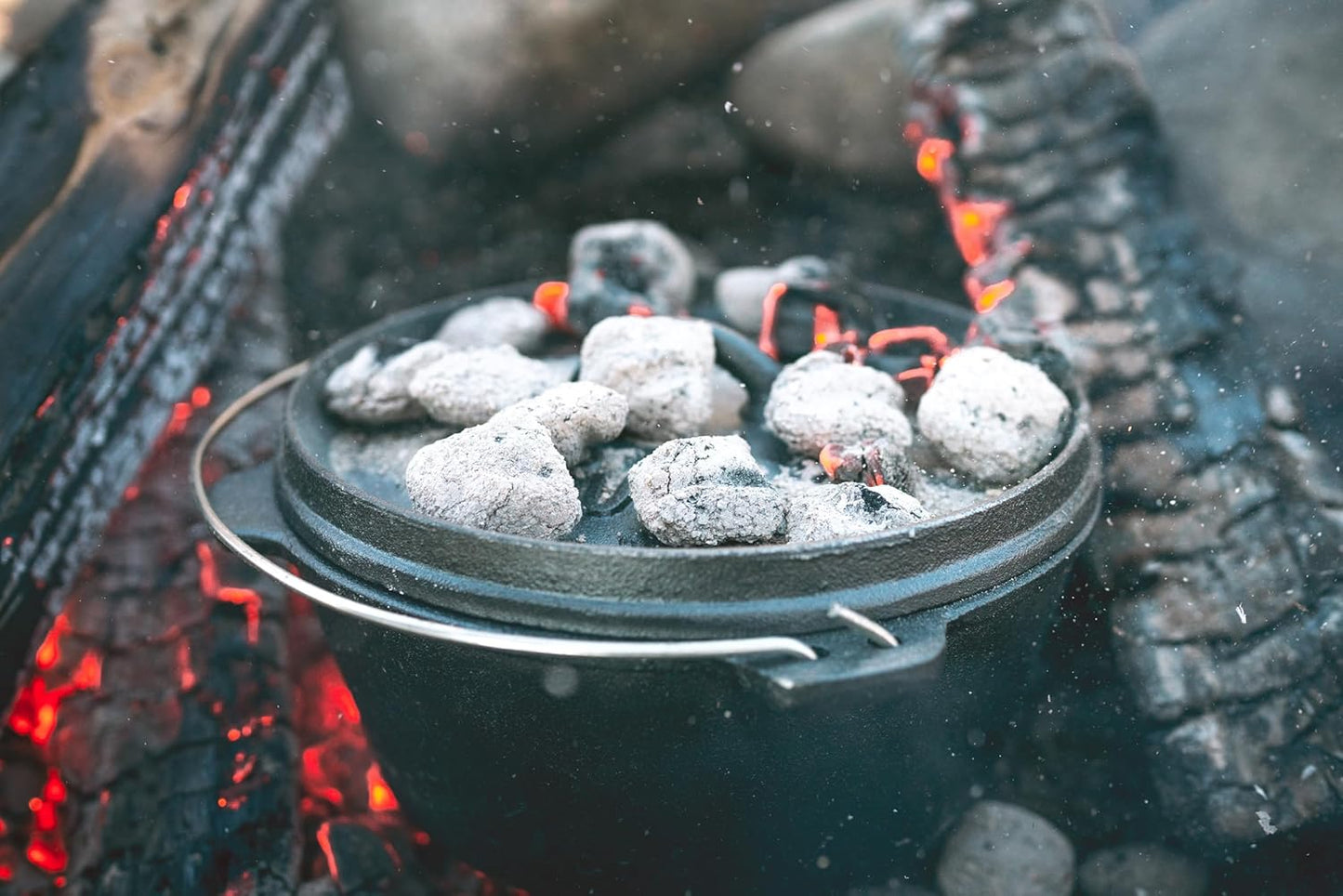 Pre-Seasoned Cast Iron Dutch Oven