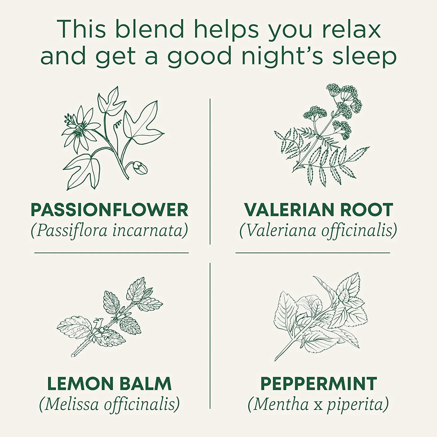 Organic Nighty Night Extra Tea with Valerian Root for Relaxation, 16 Tea Bags (Pack of 1)