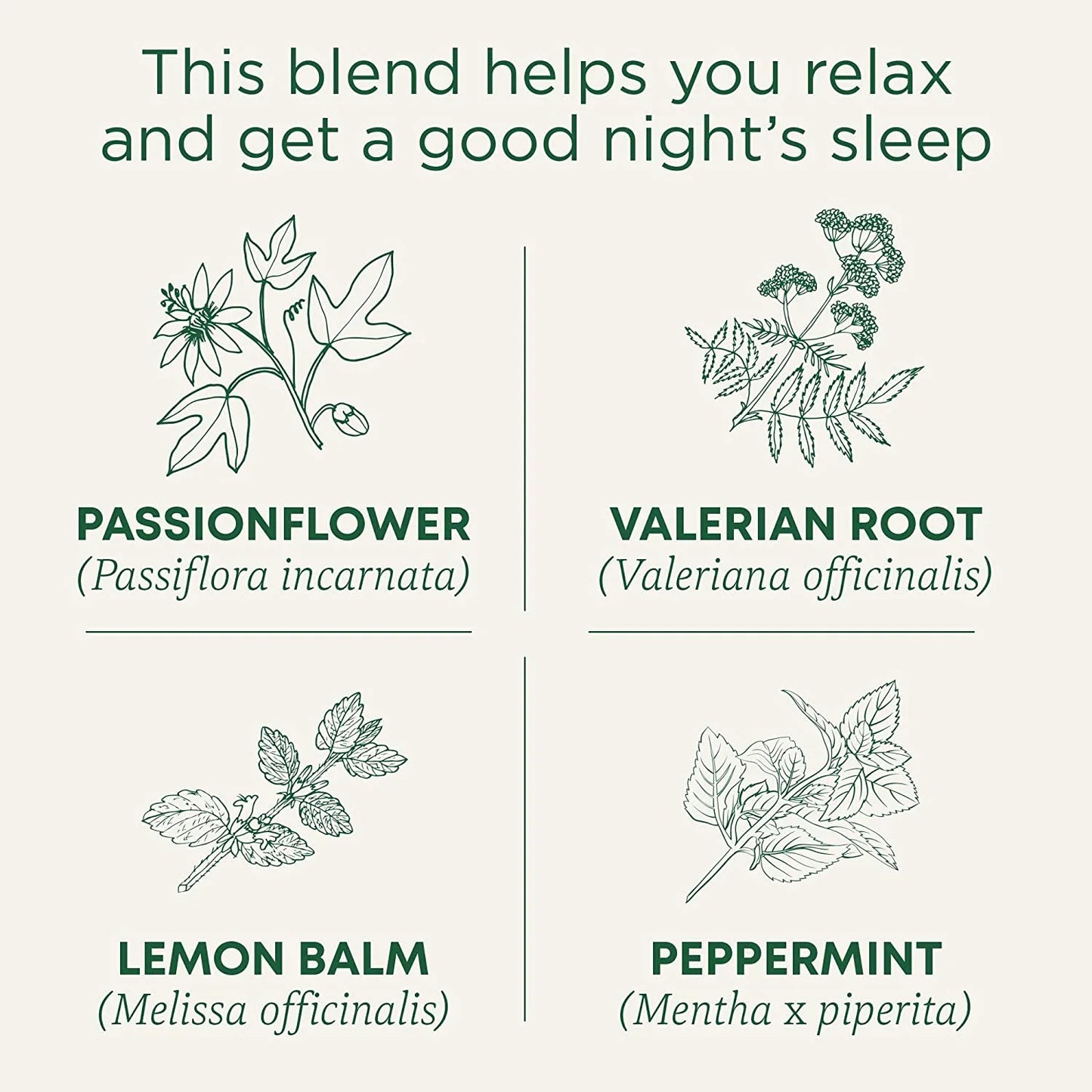 Organic Nighty Night Extra Tea with Valerian Root for Relaxation, 16 Tea Bags (Pack of 1)