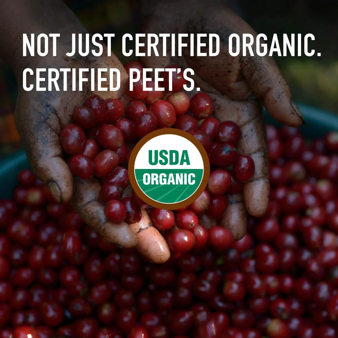, USDA Organic Dark Roast Ground Coffee, 100% Arabica Coffee - French Roast 18 Ounce Bag