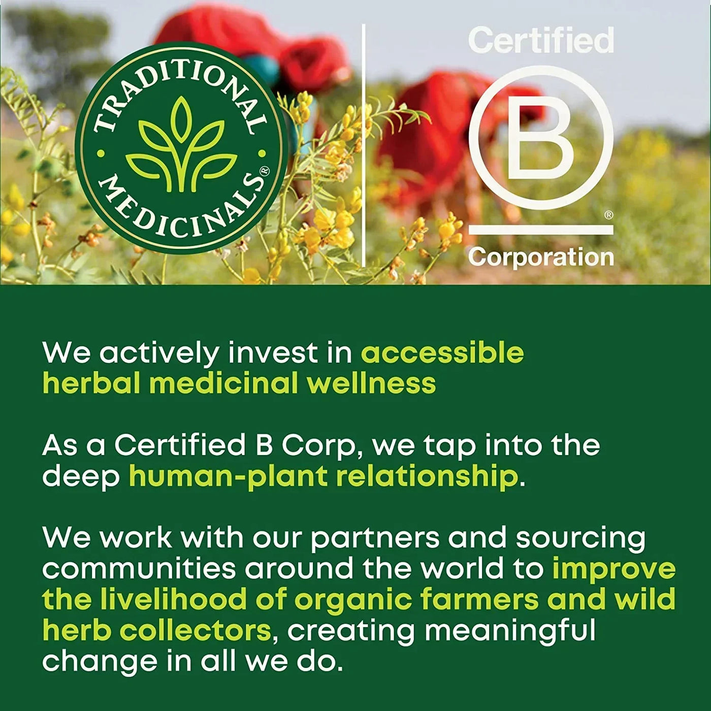 Traditional Medicinals logo and Certified B Corp badge over herbal field, promoting sustainable wellness and ethical sourcing.