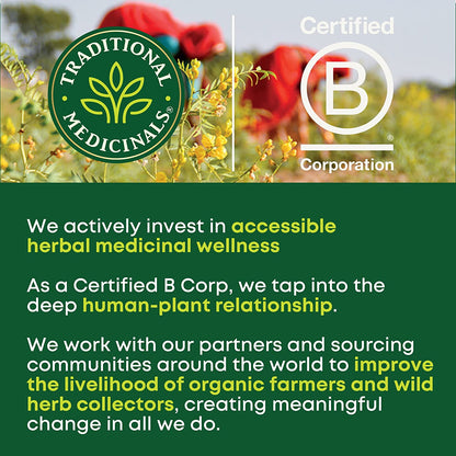 Organic, Spearmint Tea - Supports Everyday Wellness, Healthy & Refreshing - Kosher, Non-Gmo, Caffeine-Free, Compostable - 16 Tea Bags