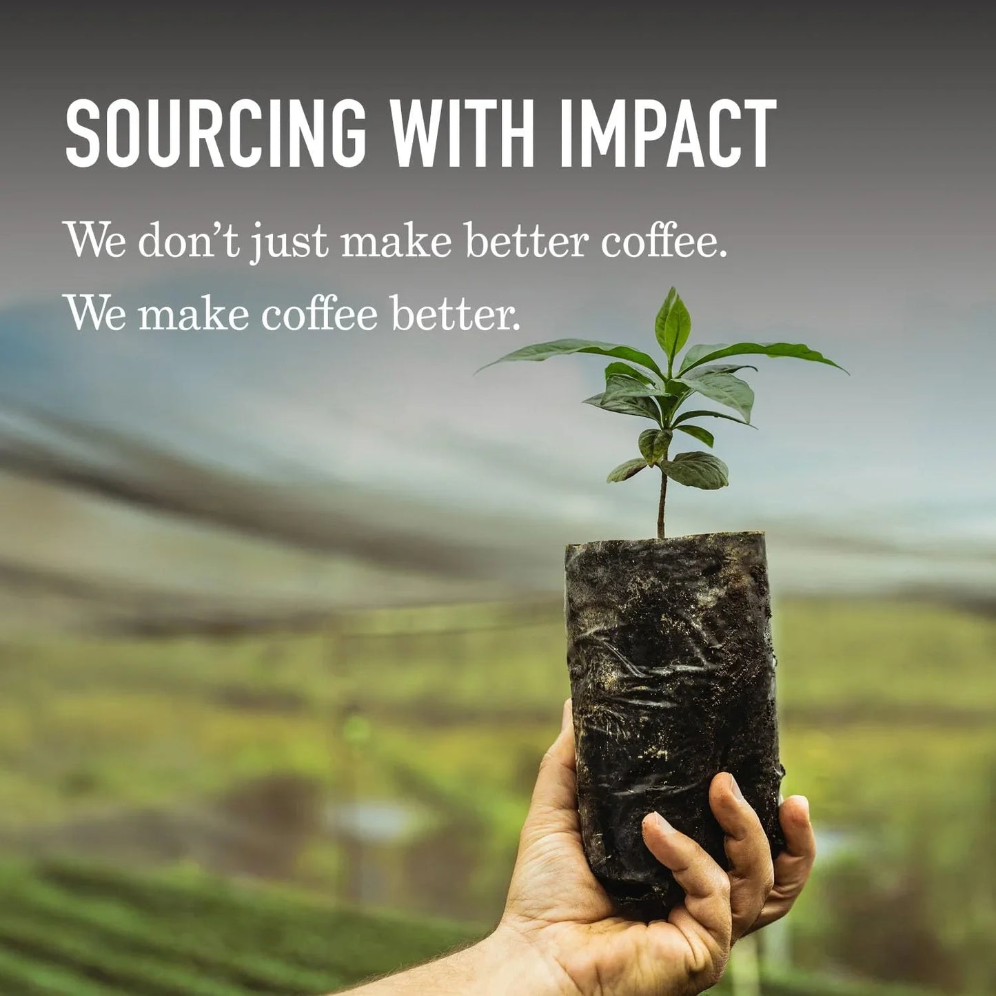 , USDA Organic Dark Roast Ground Coffee, 100% Arabica Coffee - French Roast 18 Ounce Bag