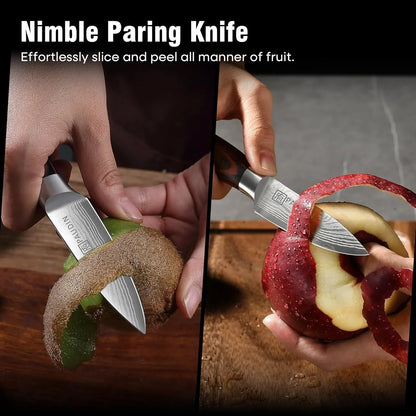 Paring Knife, 3.5 Inch Fruit Knife, High Carbon 5Cr15Mov Stainless Steel Forged Paring Knife, Ultra Sharp Small Kitchen Knife, Ergonomic Wooden Handle with Elegant Gift Box